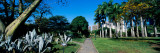 Park in a City, Caracas East Park, Caracas, Venezuela Wall Decal by  Panoramic Images