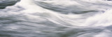 Blurred View of a River, Snake River, Wyoming Wall Decal by  Panoramic Images