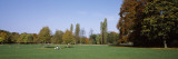 Trees in a Park, English Garden, Munich, Bavaria, Germany Wall Decal by  Panoramic Images