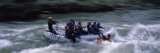 Tourists Rafting in The River, Snake River, Wyoming Wall Decal by  Panoramic Images