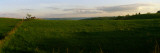 Two Horses in a Pasture, Ozark Mountains, Arkansas Wall Decal by  Panoramic Images