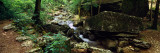 Stream Flowing in a Forest, Lost Valley State Park, Ozark National Forest, Ozark Mountains Wall Decal by  Panoramic Images