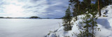 Trees Along a Frozen Lake, Saimaa, Puumala, Southern Savonia, Eastern Finland Vinilos decorativos por Panoramic Images Trees Along a Frozen Lake, Saimaa, Puumala, Southern Savonia, Eastern Finland Vinilos decorativos por Panoramic Images