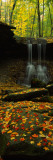 Waterfall in a Forest, Blue Hen Falls, Cuyahoga Valley National Park, Ohio Wall Decal