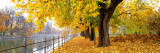 Autumn Scene, Munich, Germany Mode (wallstickers) af Panoramic Images Autumn Scene, Munich, Germany Mode (wallstickers) af Panoramic Images