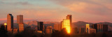 Denver Skyline Wall Decal by  Panoramic Images