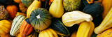 Variety of Gourds, Close Up Wall Decal