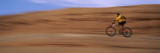 Mountain Bike Rider On The Rock, Moab, Utah Wall Decal by  Panoramic Images