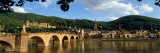 Heidelberg, Germany Wall Decal by  Panoramic Images