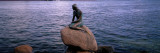 Little Mermaid Statue On Waterfront, Copenhagen, Denmark Wall Decal by  Panoramic Images
