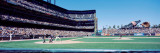 Spectator Watching Baseball Game in the Stadium, San Francisco Wall Decal by  Panoramic Images
