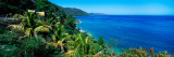 Trees On The Beach, Arapito Beach, Mochima National Park, Anzoategui State-Sucre State, Venezuela Wall Decal by  Panoramic Images