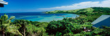 Trees at The Coast, Nananu-I-Ra Island, Fiji Wall Decal by  Panoramic Images