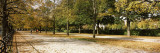 Autumnal Trees in a Park, Hofgarten, Munich, Bavaria, Germany Wall Decal by  Panoramic Images