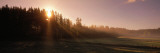 Early Morning Sun Over Forest and Fields, Sweden Wall Decal by  Panoramic Images