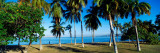 Palm Trees On The Beach, Puerto La Cruz, Anzoategui State, Venezuela Autocollant mural par  Panoramic Images