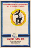 Raisin au soleil, Un|A Raisin In The Sun Photo