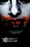 30 días de oscuridad (30 Days of Night) Lámina maestra