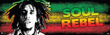 Bob Marley-Soul Rebel Foto