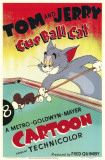 Cue Ball Cat Photo