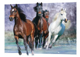 Bob Langrish - Running Poster