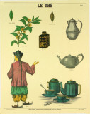 le The (Tea History) Collectable Print por DEYROLLE