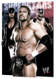 WWE - Superstars Poster