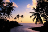 Hikkaduwa, Sri Lanka (Beach, Sunset) Art Poster Print Print