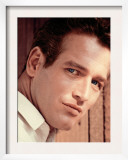 Paul Newman Posters