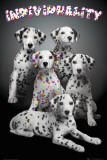 Keith Kimberlin - Individuality Photo