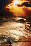 Surf Posters