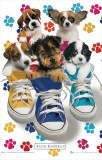 Keith Kimberlin - Sneakers Pósters