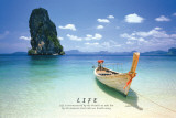 Tropical-Life Plakat