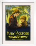 Sparrows, 1926 Prints