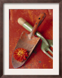 Trowel and Blossom Prints