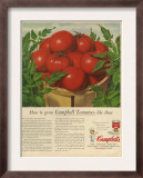 Campbell's, Magazine Advertisement, USA, 1950 Poster