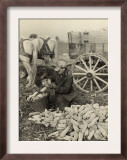 Farmer Collecting Husked Corn to Load into a Horse Drawn Wagon in Washington County, Maryland, 1937 Posters by Arthur Rothstein
