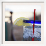Lemonade II Print by Nicole Katano