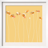 Soft Floral III Prints