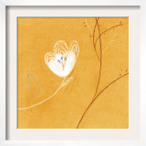 White Flower Art