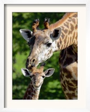 Bridgit and Her 3-Week Old Son Mac Framed Photographic Print