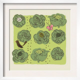 Beautiful Heads of Lettuce Prints