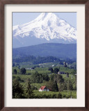 Mount Hood over Houses Scattered amongst Orchards and Firs, Pine Grove, Oregon Framed Photographic Print by Don Ryan