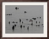 Bathers Take Advantage of the Fine Weather Prevailing in Jordan to Swim in the Dead Sea Framed Photographic Print