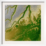 Bolivian Amazon Prints by Stocktrek Images 