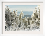 US Coast Guard Icebreaker Along the Shore of Lake Erie as Ducks Fly Overhead Framed Photographic Print