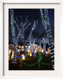 Christmas Lights, Saugus, Massachussets Framed Photographic Print by Lisa Poole