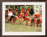 South Korean Kindergarten Pupils Plant Rice Seedlings Framed Photographic Print