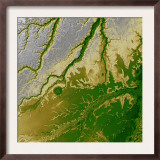 Bolivian Amazon Prints by Stocktrek Images 