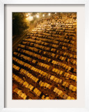 Pakistani Muslims Perform a Prayer Called "Tarawih" Framed Photographic Print